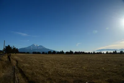 DSC_2982 (Large).JPG